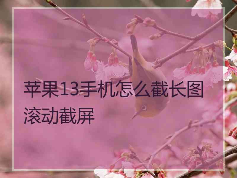 苹果13手机怎么截长图滚动截屏