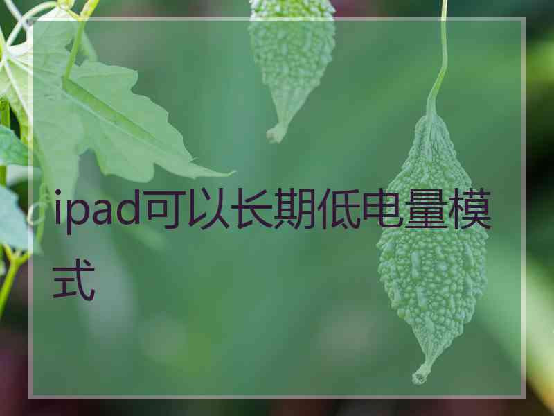 ipad可以长期低电量模式