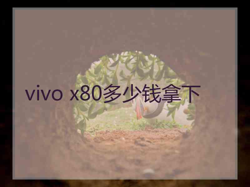 vivo x80多少钱拿下