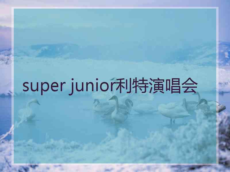 super junior利特演唱会