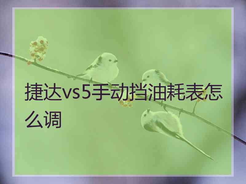 捷达vs5手动挡油耗表怎么调