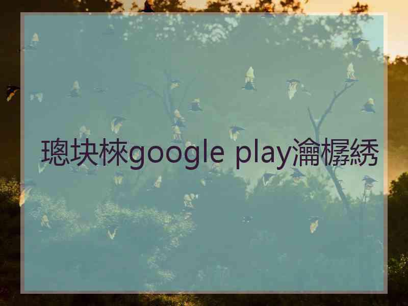 璁块棶google play瀹樼綉