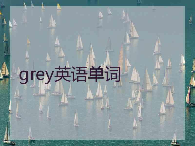 grey英语单词