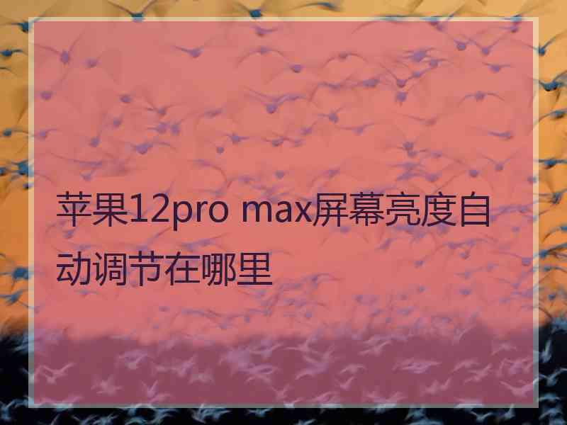 苹果12pro max屏幕亮度自动调节在哪里