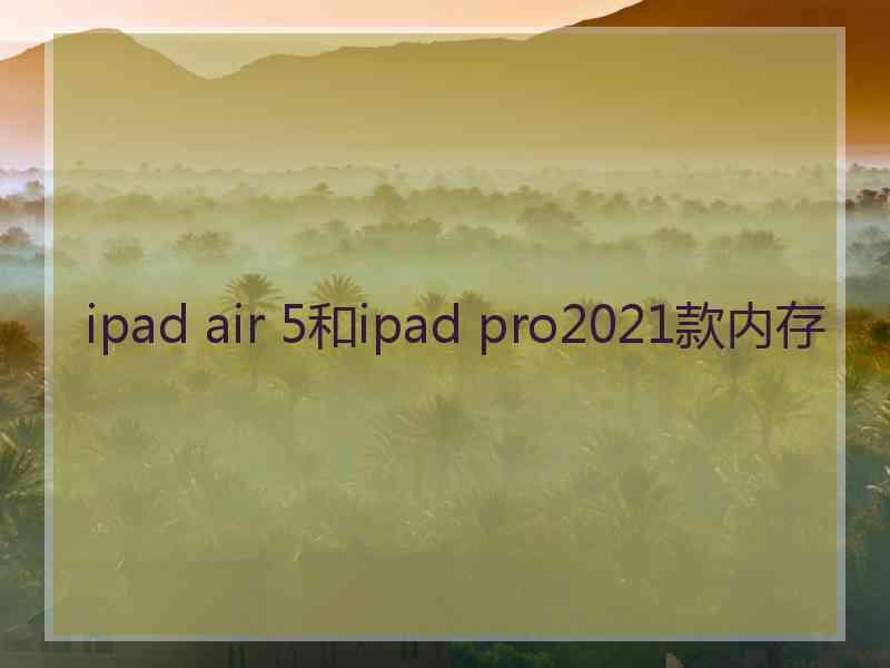 ipad air 5和ipad pro2021款内存