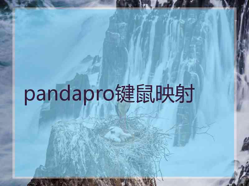 pandapro键鼠映射