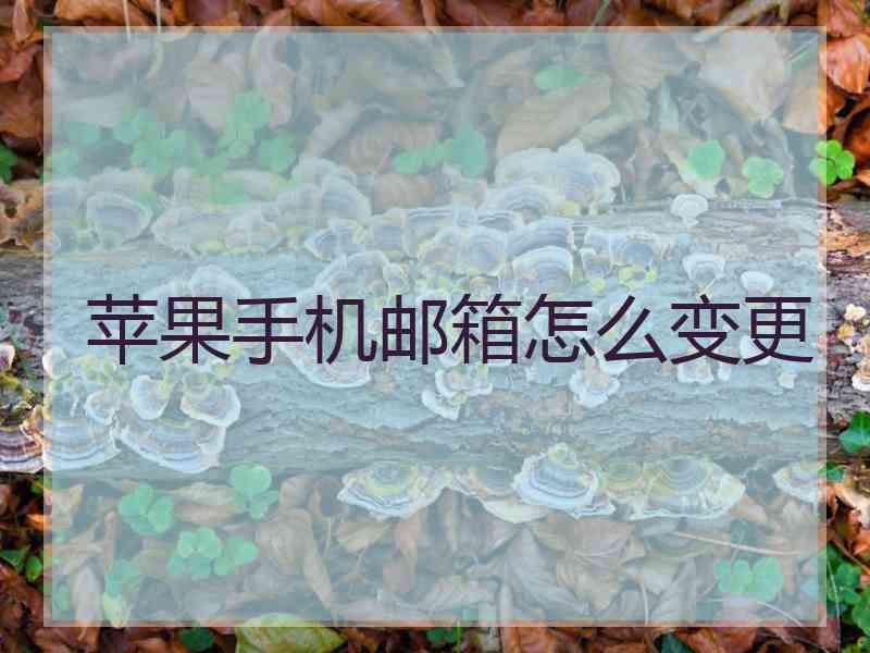 苹果手机邮箱怎么变更