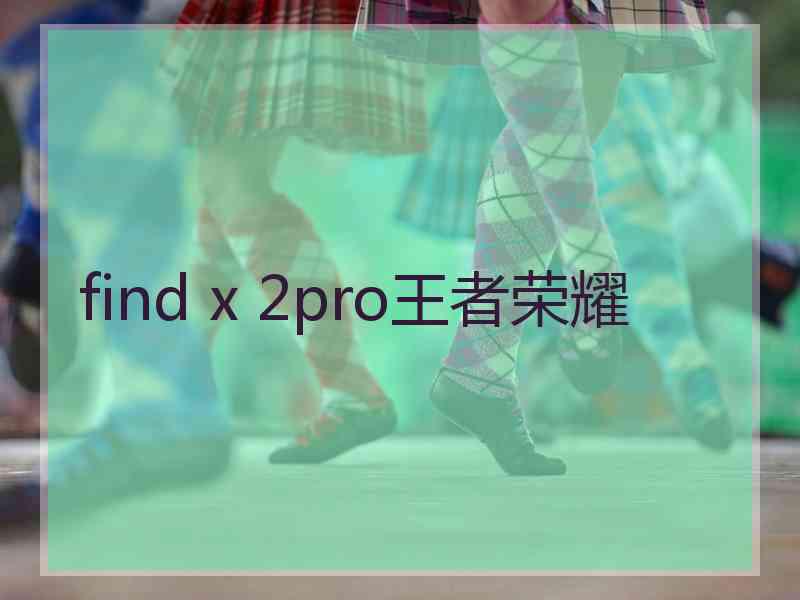 find x 2pro王者荣耀