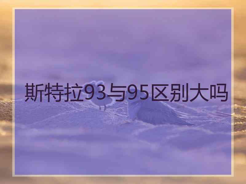 斯特拉93与95区别大吗