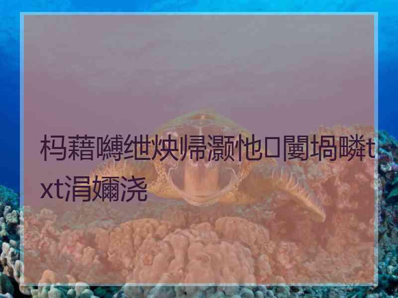 杩藉嚩绁炴帰灏忚闄堝疄txt涓嬭浇