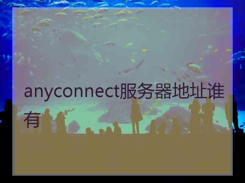 anyconnect服务器地址谁有