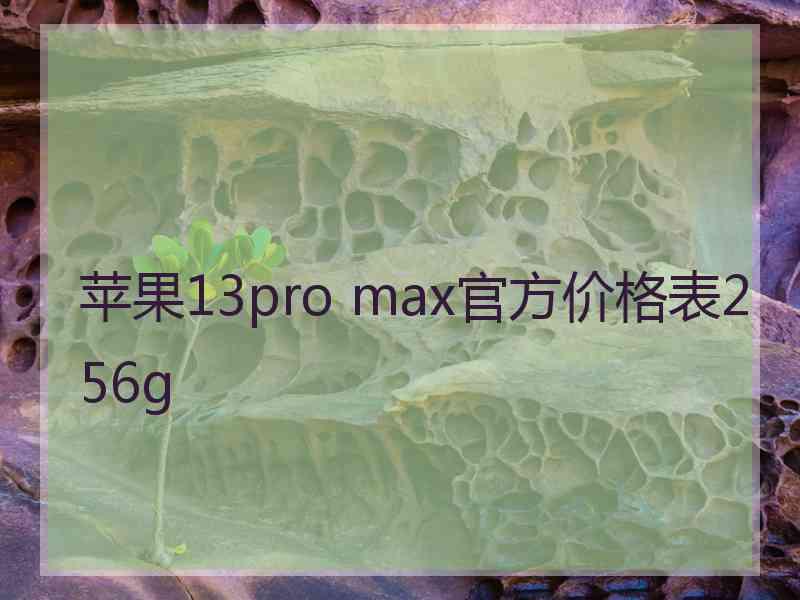 苹果13pro max官方价格表256g