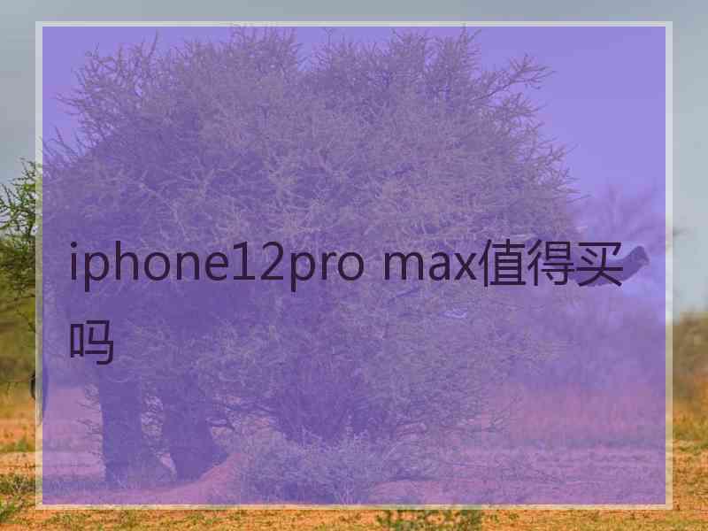 iphone12pro max值得买吗