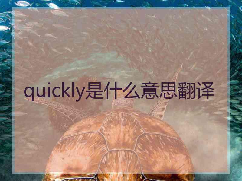 quickly是什么意思翻译