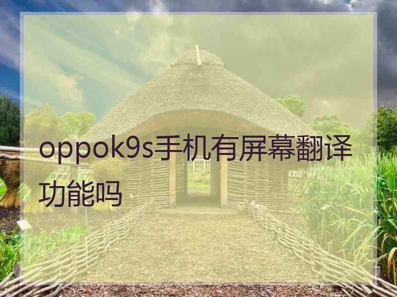 oppok9s手机有屏幕翻译功能吗