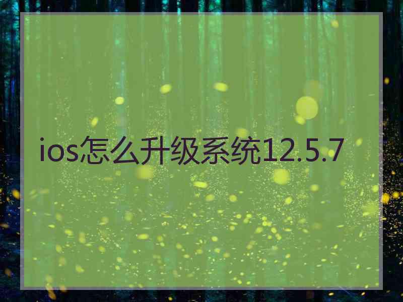 ios怎么升级系统12.5.7