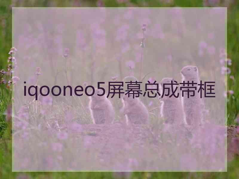 iqooneo5屏幕总成带框