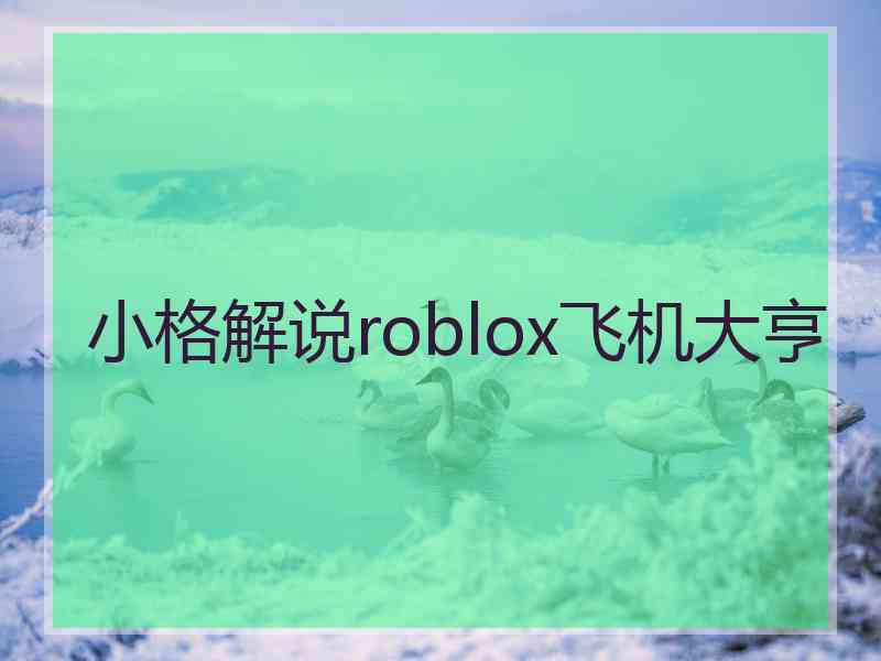 小格解说roblox飞机大亨