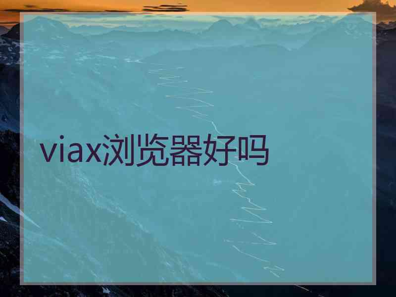 viax浏览器好吗