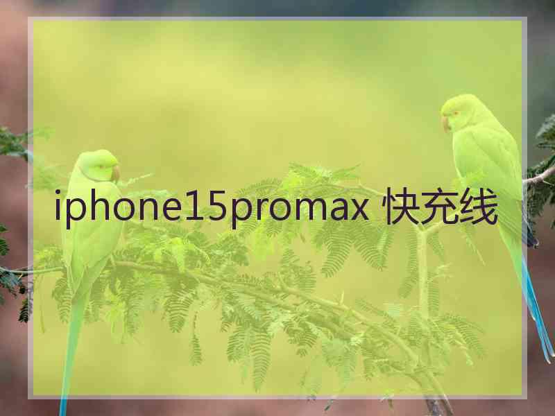 iphone15promax 快充线