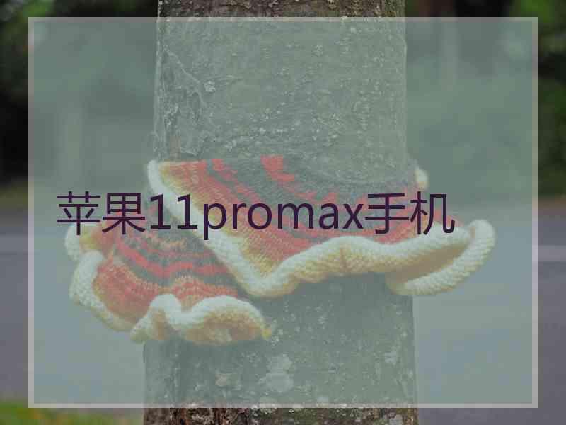 苹果11promax手机