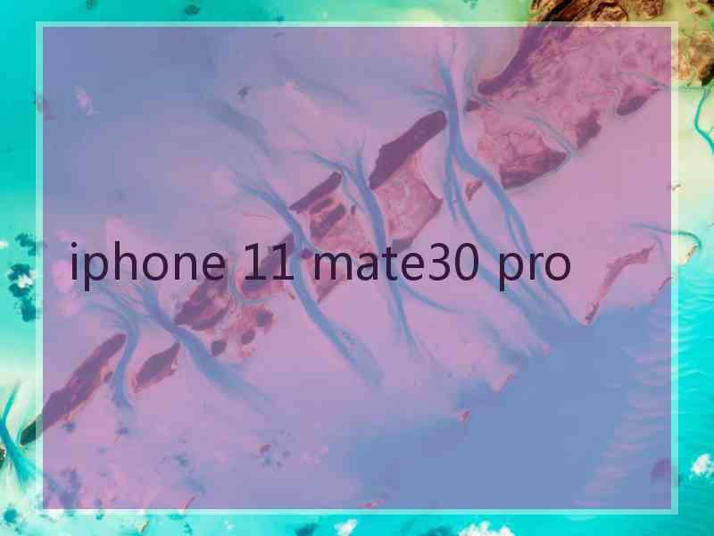 iphone 11 mate30 pro