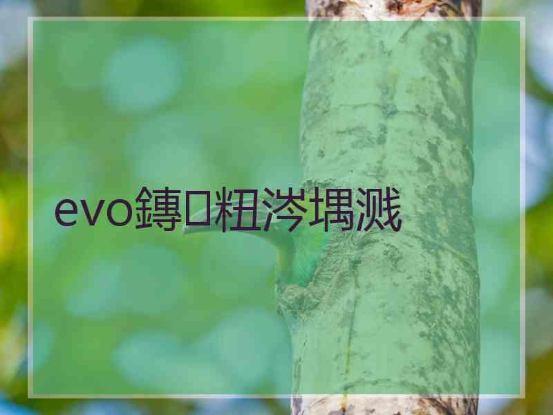 evo鏄粈涔堣溅