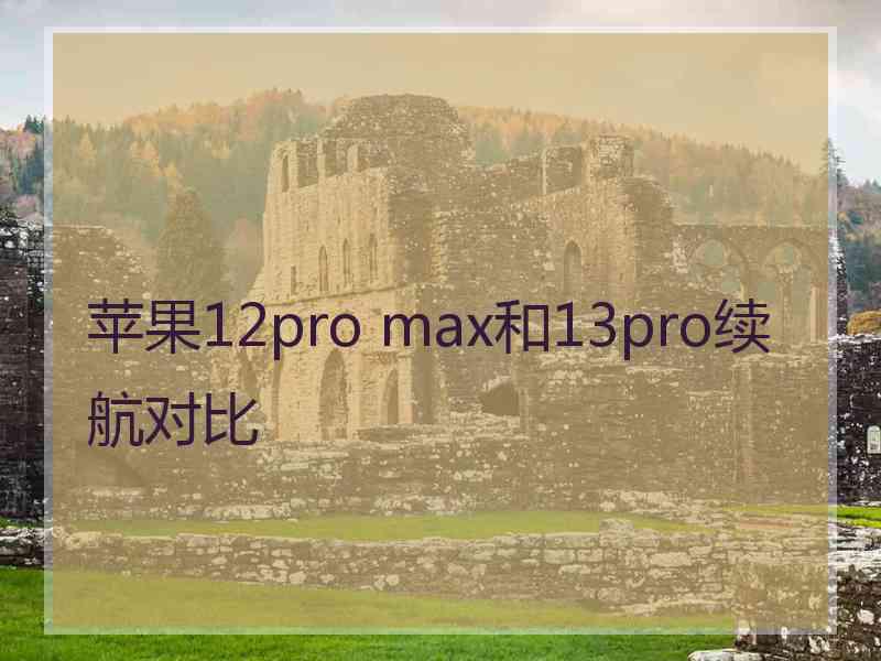 苹果12pro max和13pro续航对比