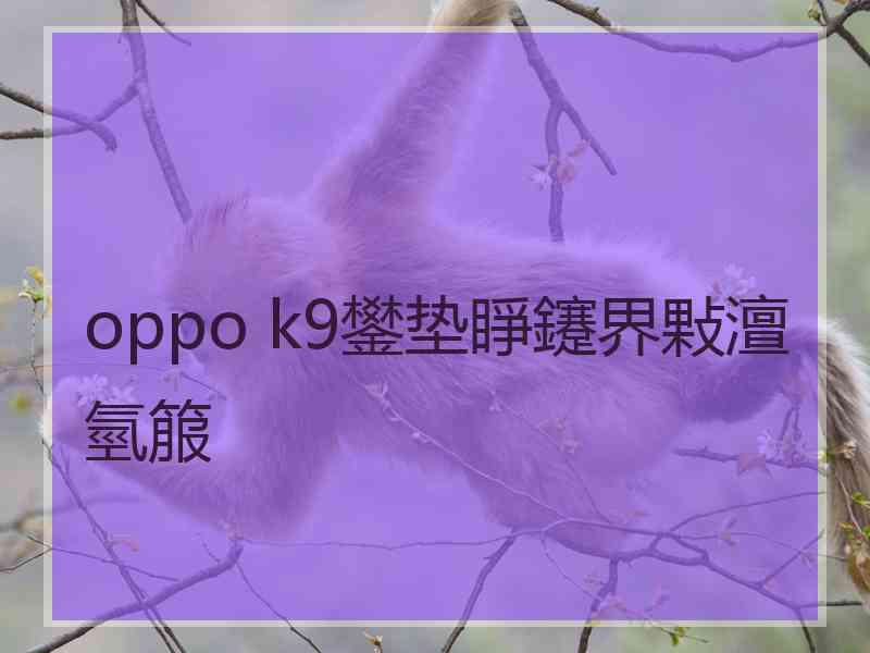 oppo k9鐢垫睜鑳界敤澶氫箙