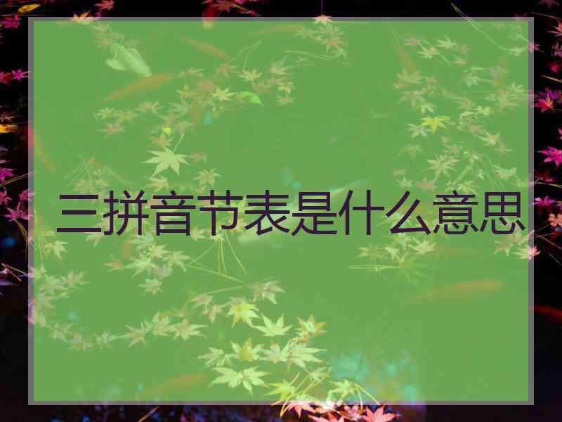 三拼音节表是什么意思