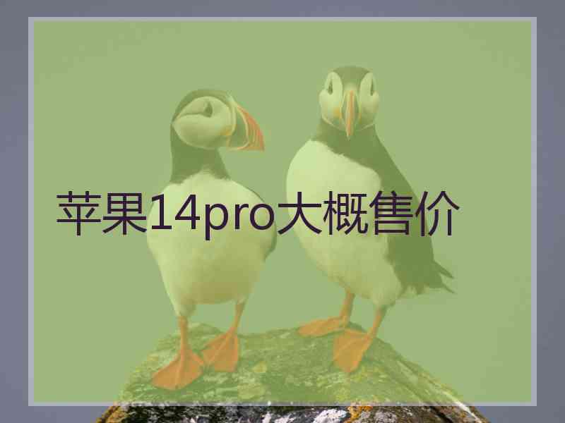 苹果14pro大概售价