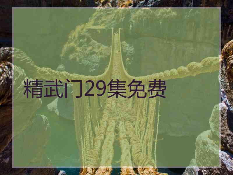 精武门29集免费