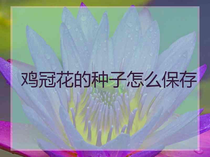 鸡冠花的种子怎么保存