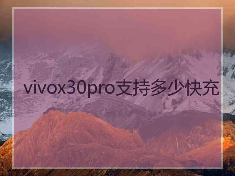 vivox30pro支持多少快充