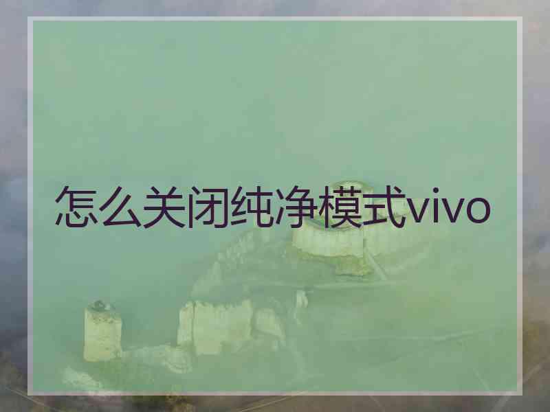 怎么关闭纯净模式vivo