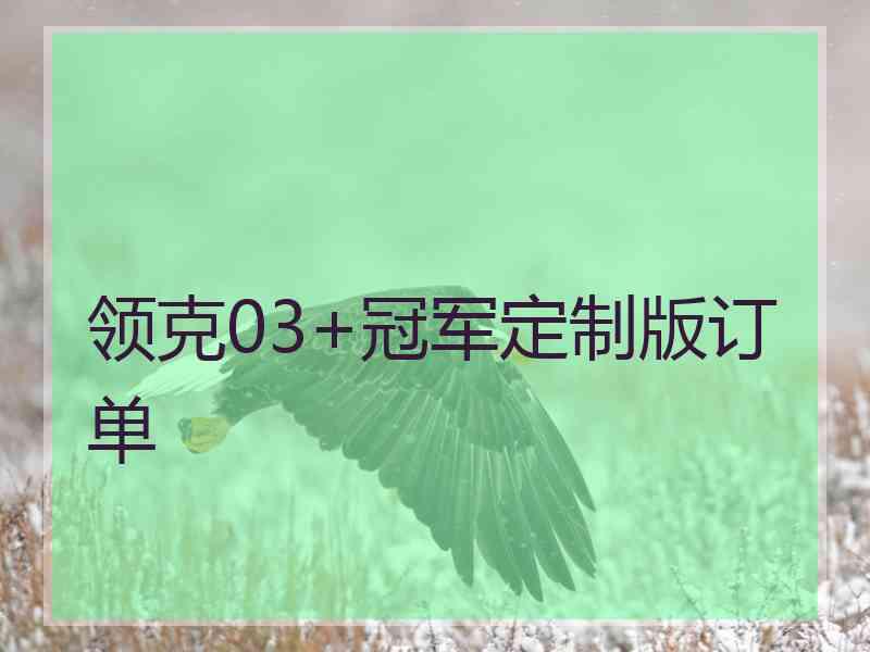 领克03+冠军定制版订单