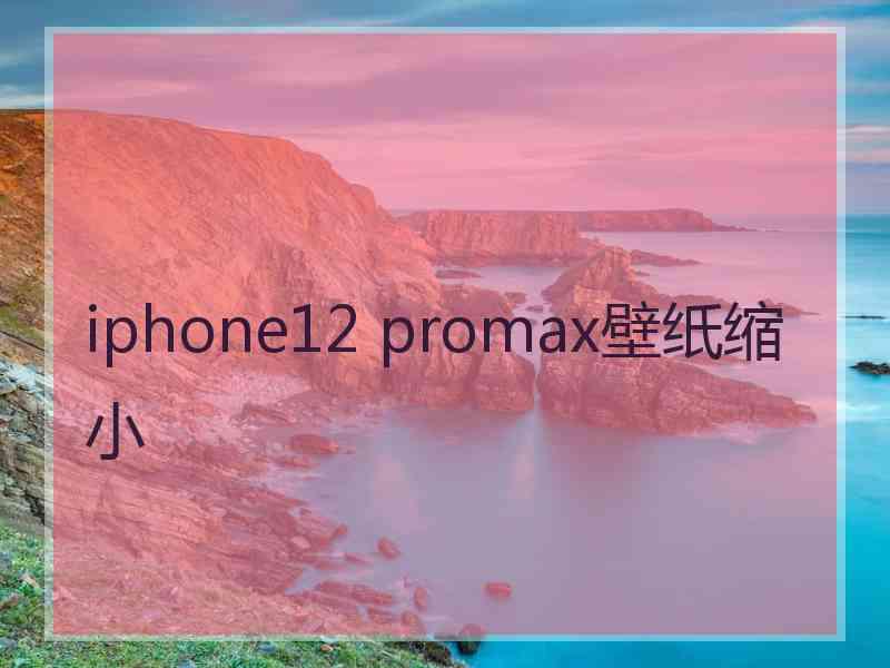 iphone12 promax壁纸缩小