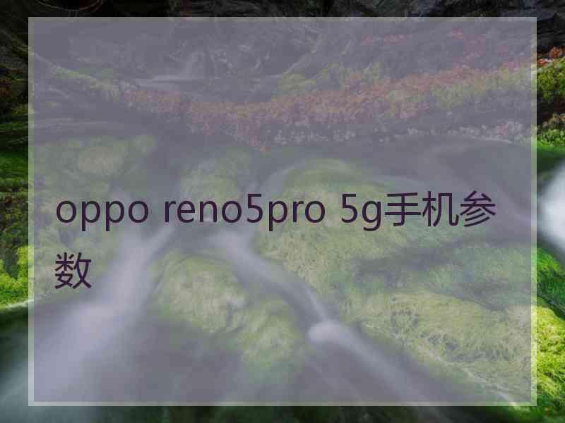 oppo reno5pro 5g手机参数