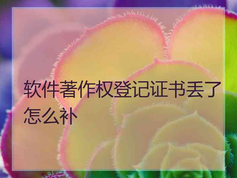 软件著作权登记证书丢了怎么补