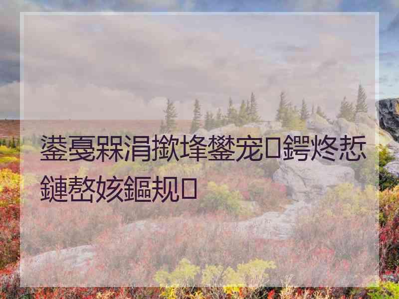 鍙戞槑涓撳埄鐢宠鍔炵悊鏈嶅姟鏂规