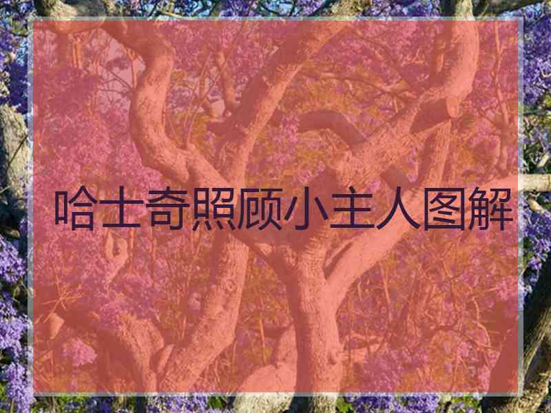 哈士奇照顾小主人图解