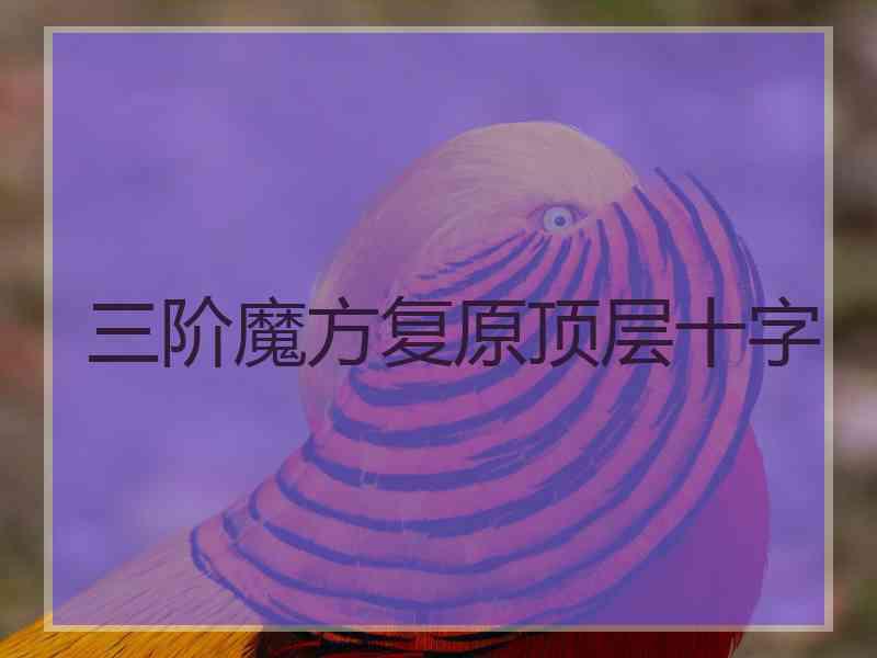 三阶魔方复原顶层十字