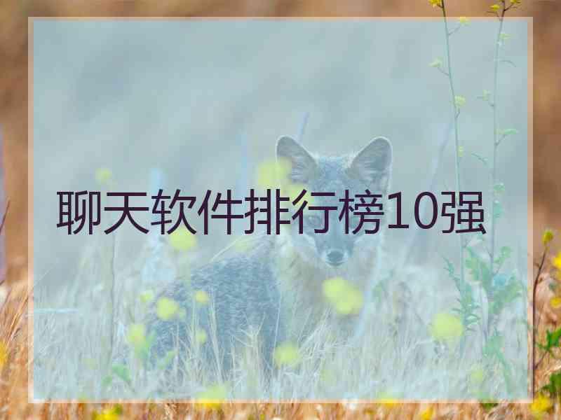 聊天软件排行榜10强