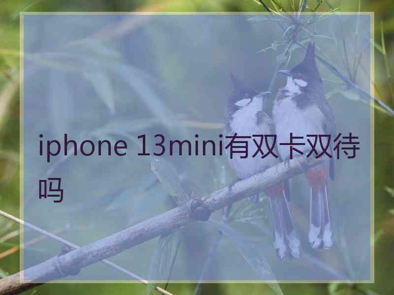 iphone 13mini有双卡双待吗