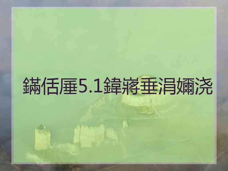 鏋佸厜5.1鍏嶈垂涓嬭浇