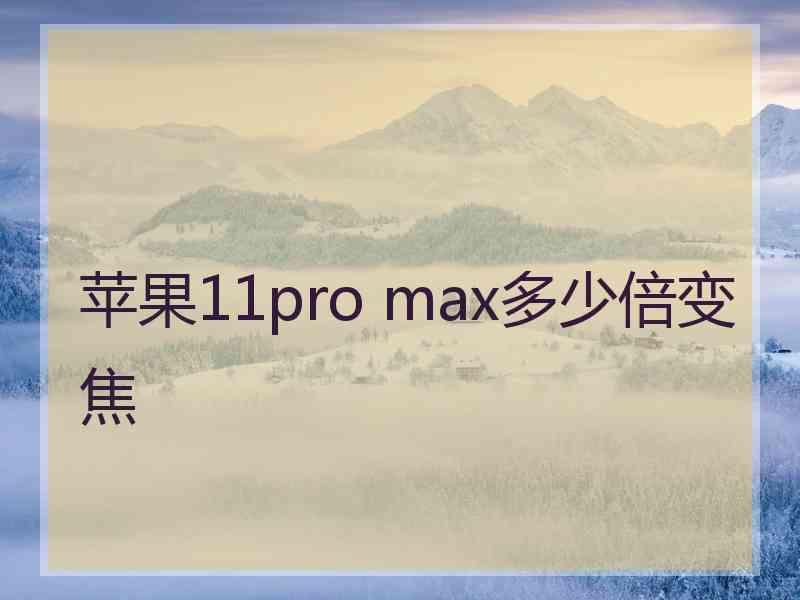 苹果11pro max多少倍变焦