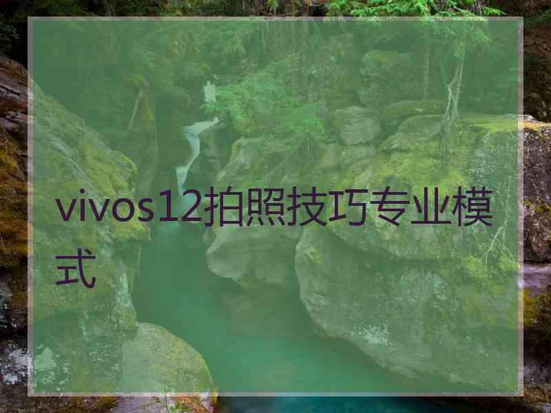 vivos12拍照技巧专业模式