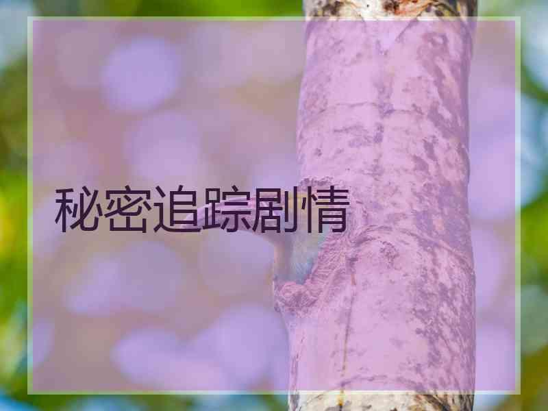 秘密追踪剧情