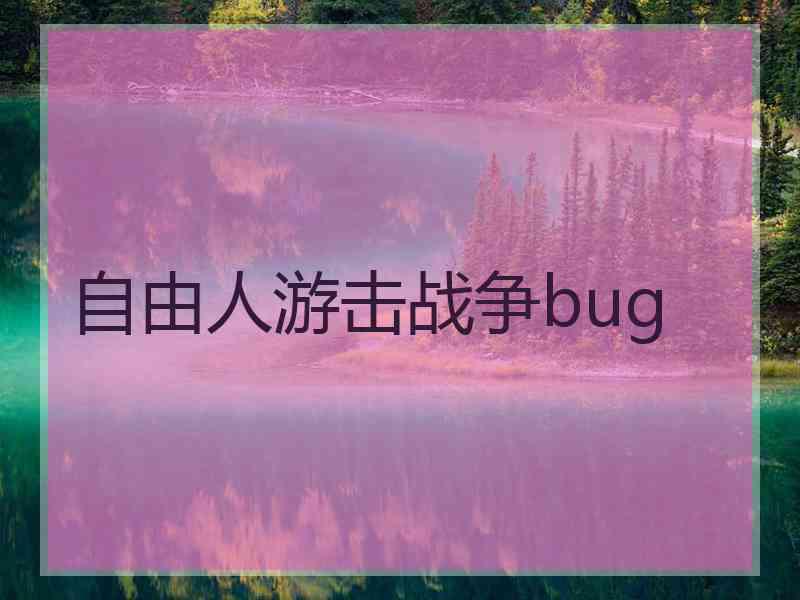 自由人游击战争bug