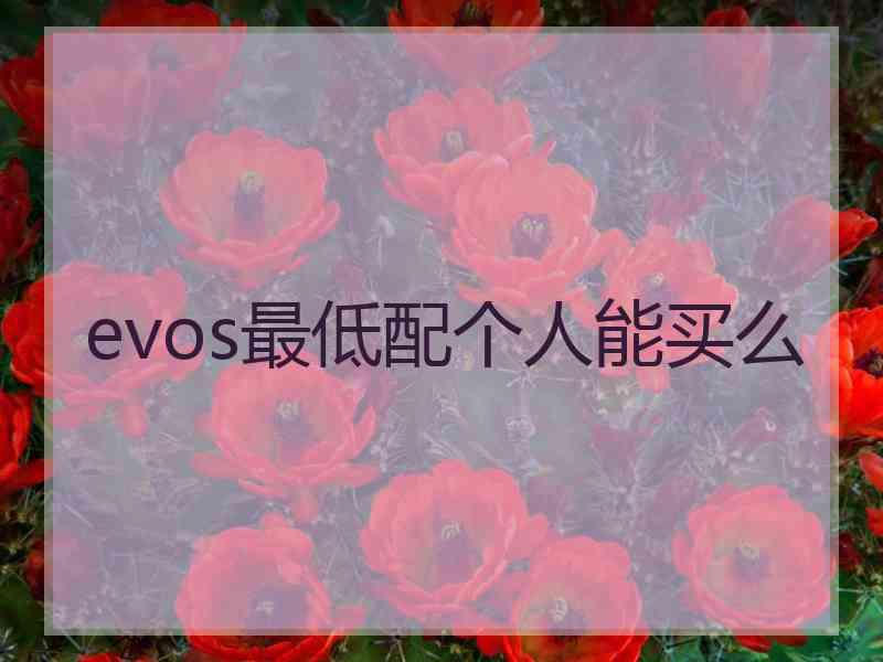 evos最低配个人能买么